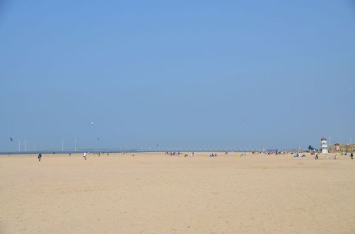 weekend-zélande-homard-moules (135)