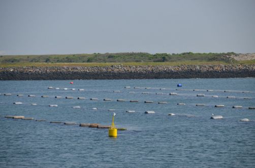 weekend-zélande-homard-moules (145)