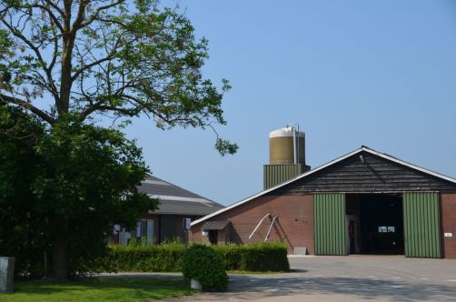 weekend-zélande-homard-moules (148)