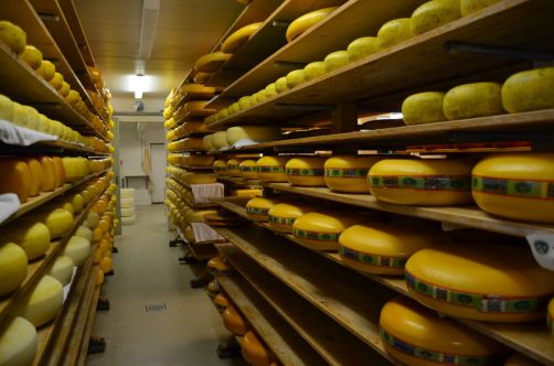 weekend-zélande-homard-moules (151)