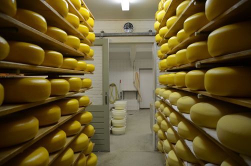 weekend-zélande-homard-moules (155)