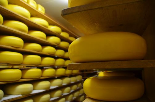 weekend-zélande-homard-moules (156)