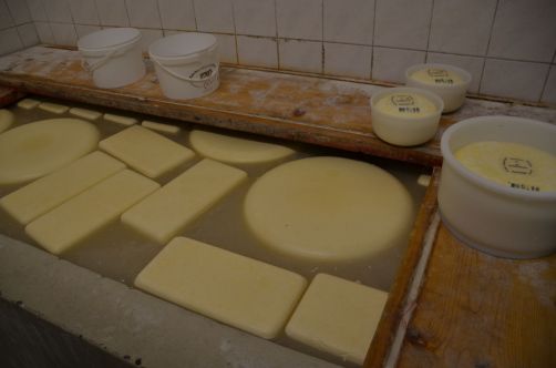 weekend-zélande-homard-moules (158)