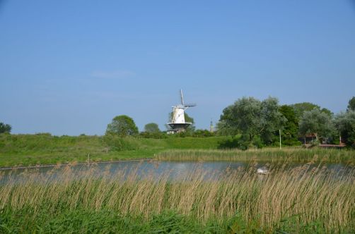 weekend-zélande-homard-moules (196)