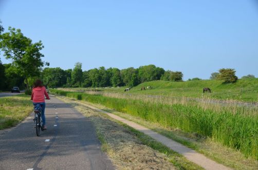 weekend-zélande-homard-moules (198)