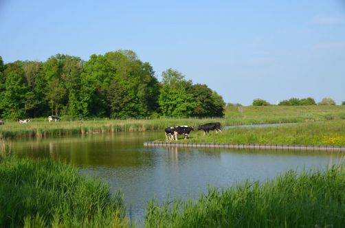 weekend-zélande-homard-moules (201)