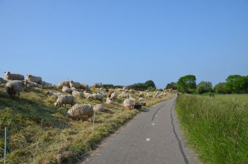 weekend-zélande-homard-moules (205)