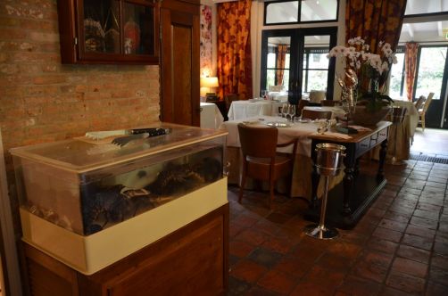 weekend-zélande-homard-moules (271)