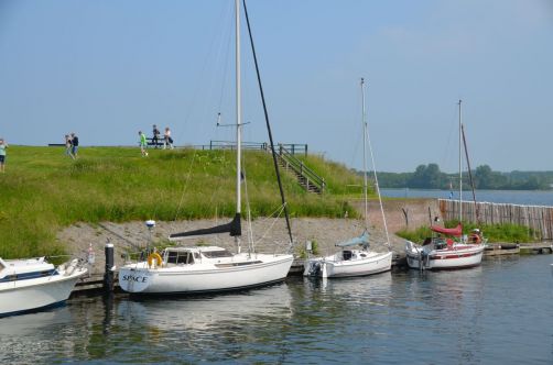 weekend-zélande-homard-moules (32)