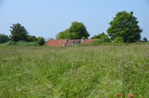 weekend-zélande-homard-moules (63)