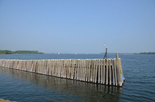 weekend-zélande-homard-moules (9)