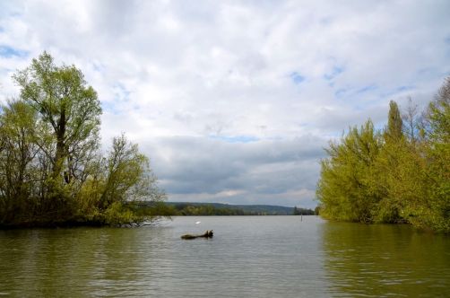 festival-normandie-impressionniste (105)