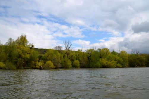 festival-normandie-impressionniste (107)