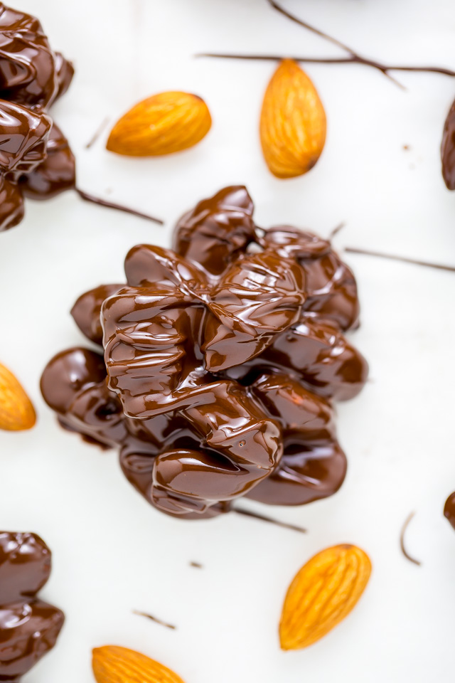 These simple 2-Ingredient Chocolate Almond Clusters are easy, adaptable, and make great gifts!