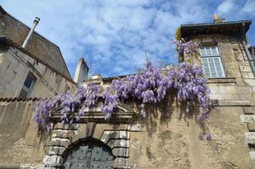 weekend-poitiers (115)