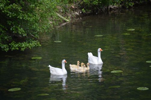 weekend-poitiers (191)