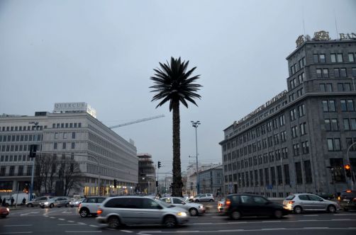 ... et de surprises ! Comme ce palmier artificiel trônant en plein centre ville.