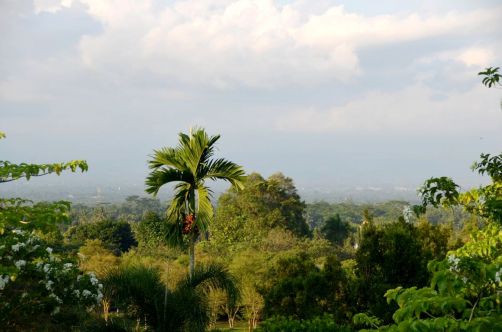 yogyakarta-temple-borobudur (66)