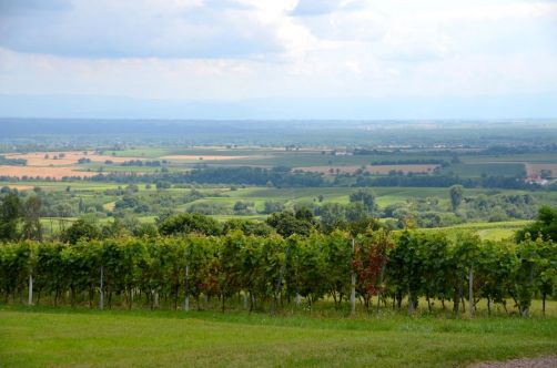 allemagne-hotel-foret-palatinat (113)