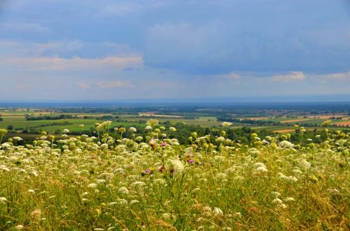 allemagne-hotel-foret-palatinat (122)