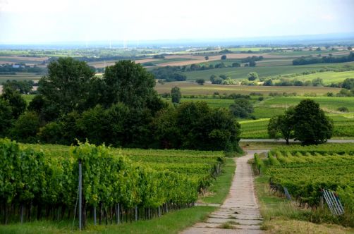 allemagne-hotel-foret-palatinat (123)