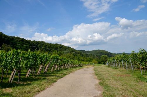 allemagne-hotel-foret-palatinat (125)