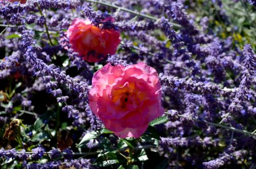 allemagne-hotel-foret-palatinat (149)