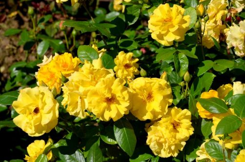 allemagne-hotel-foret-palatinat (168)