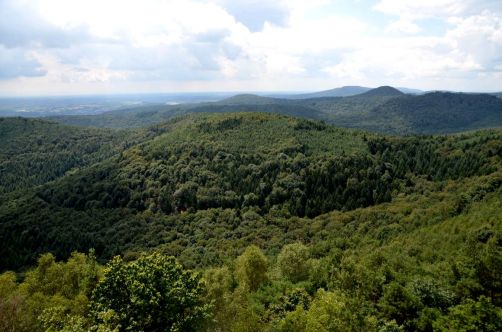 allemagne-hotel-foret-palatinat (83)