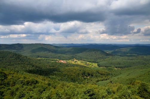 allemagne-hotel-foret-palatinat (85)