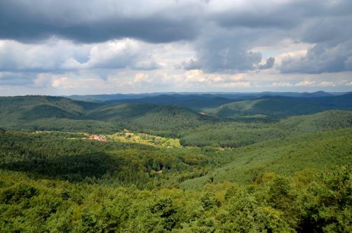 allemagne-hotel-foret-palatinat (88)