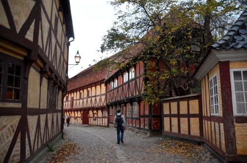 danemark-aarhus-jelling-110