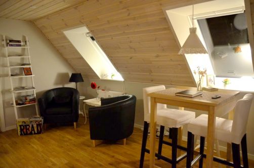 danemark-aarhus-jelling-115