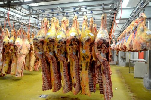 marche-de-rungis-paris-109