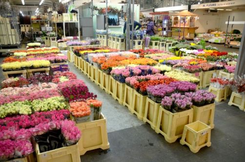 marche-de-rungis-paris-117