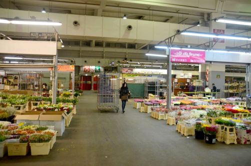 marche-de-rungis-paris-119