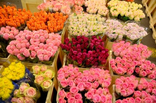 marche-de-rungis-paris-120