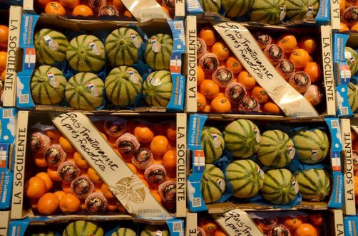 marche-de-rungis-paris-129