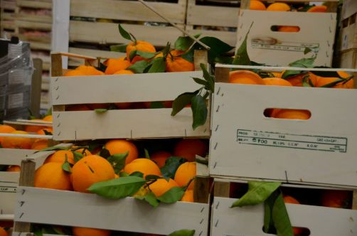 marche-de-rungis-paris-150