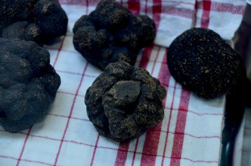 marche-de-rungis-paris-17