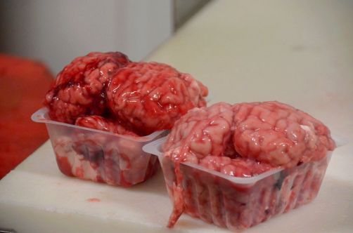 marche-de-rungis-paris-68