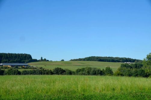 restaurant-d-arville-barabas-namur-27