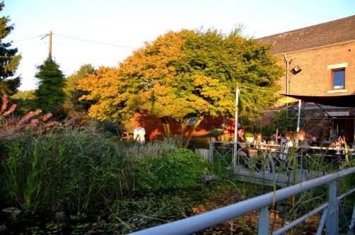 restaurant-d-arville-barabas-namur-45