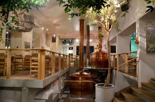 roadtrip-danemark-odense-fionie-93