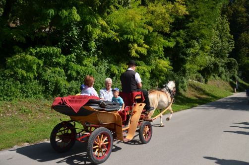 slovenie-bled-lac-chateau-53