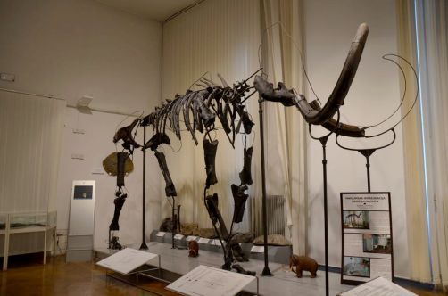 slovenie-ljubljana-citytrip-133