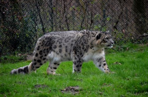 weekend-malines-belgique (108)