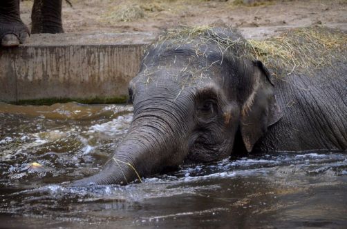 weekend-malines-belgique (115)