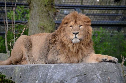 weekend-malines-belgique (123)