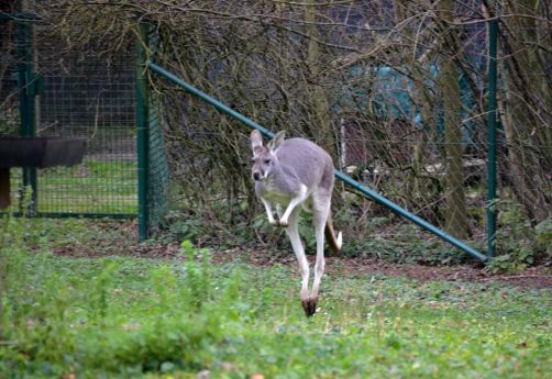 weekend-malines-belgique (128)